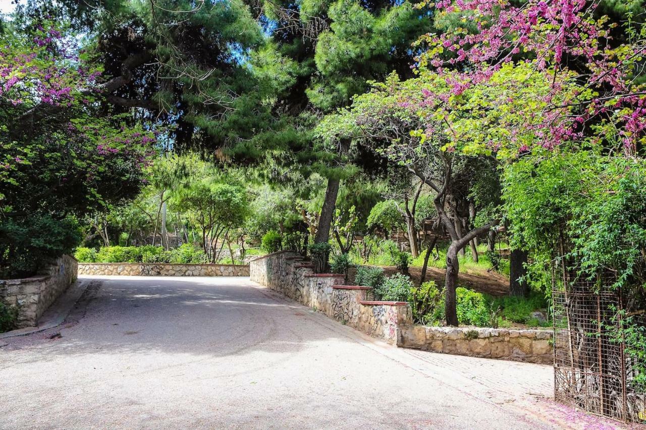 Charming Apartment Near Panathenaic Stadium Екстериор снимка